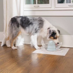 PetSafe Drinkwell Sedona szökőkút