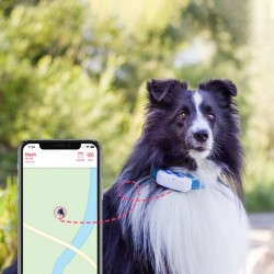 Tractive GPS DOG 4 nyomkövető kutyák számára