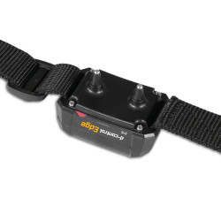 Dogtrace d-control Edge 250R elektronikus kiképző nyakörv gyűrűs vezérlővel