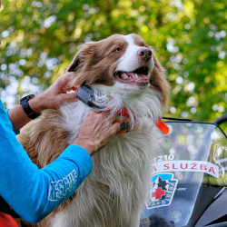 DOG GPS X30 professzionális helymeghatározó GPS nyakörv DOGTRACE