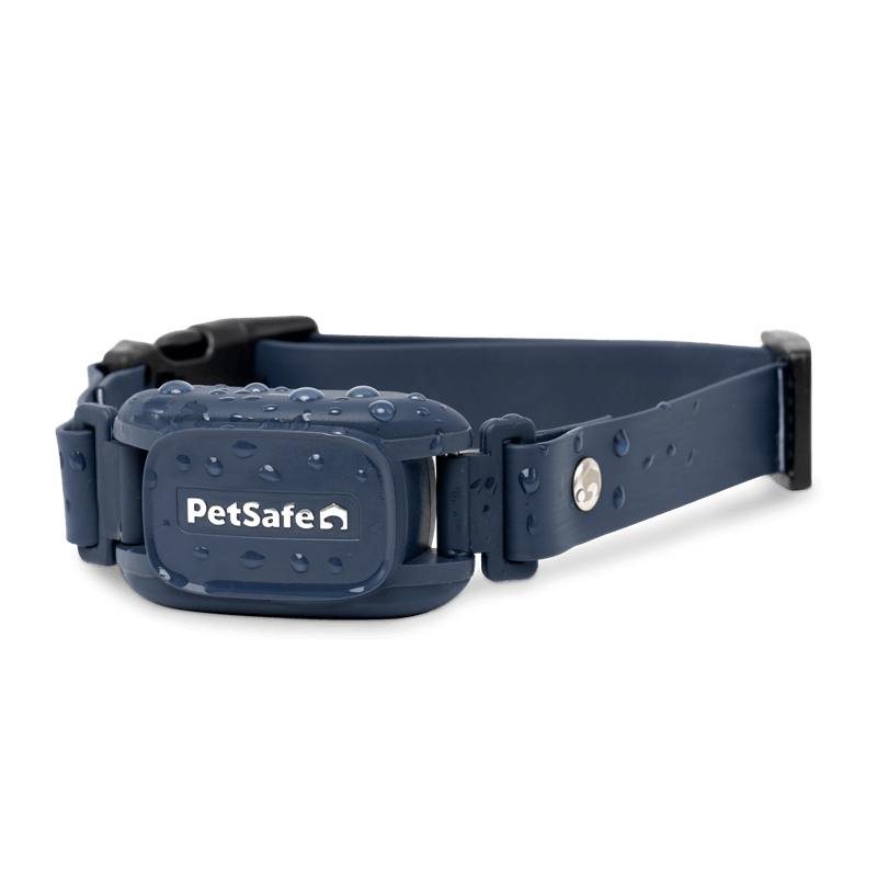 petsafe pro