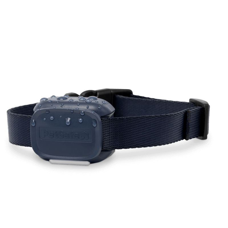 petsafe core