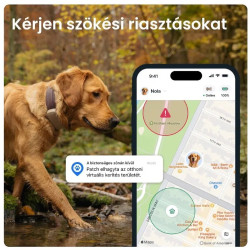 Tractive GPS DOG 6 XL nyomkövető kutyáknak