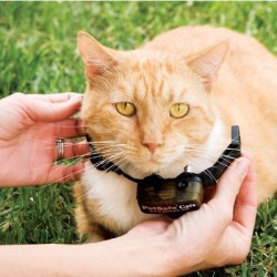 Extra nyakörv a PetSafe macskáknak láthatatlan kerítés szetthez